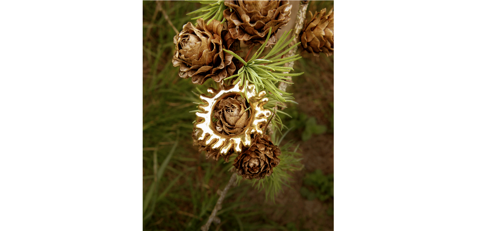 rouelle nature en bronze jaune